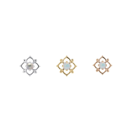 Yofi Dot from Modern Mood