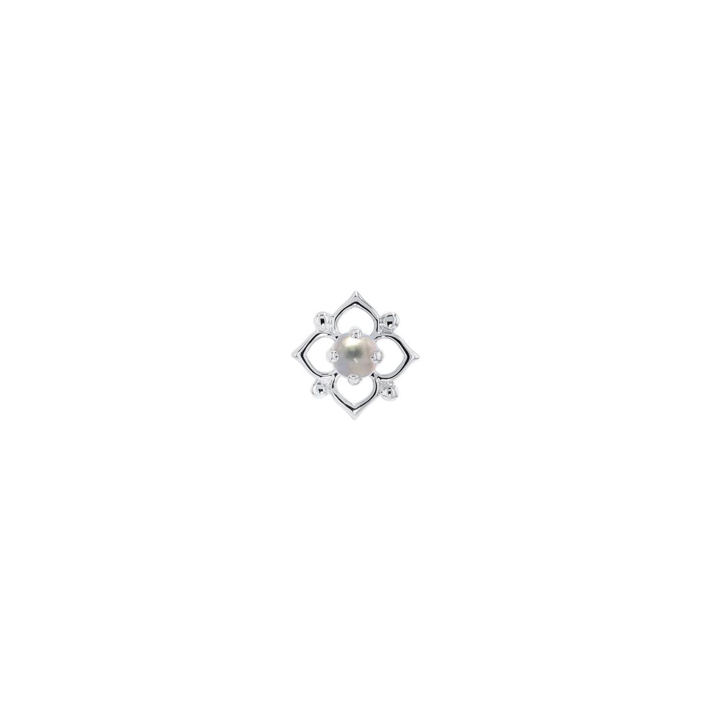 Yofi Dot from Modern Mood