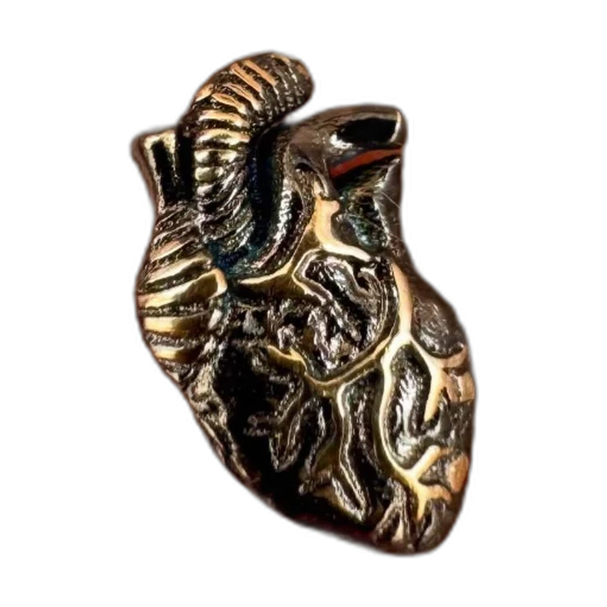 Heartbeat by M.US.HROOM — alternate view 3