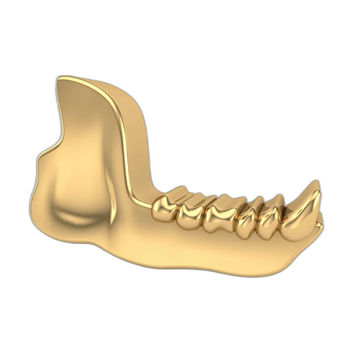 Jaw by M.US.HROOM — alternate view 2