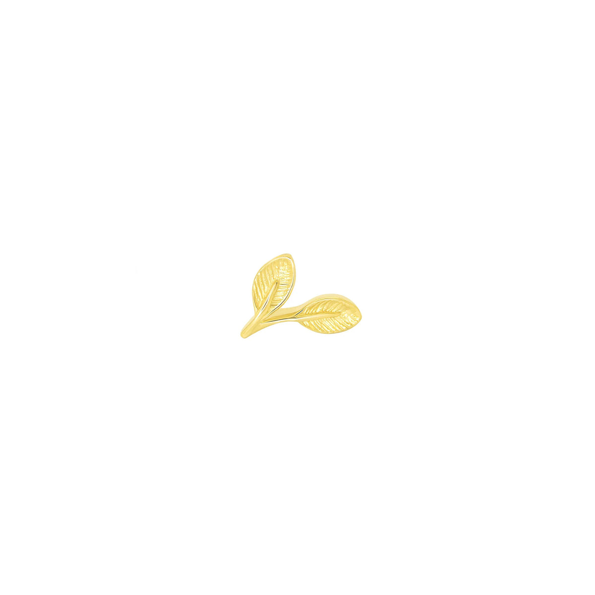 Leaf Elliptic by M.US.HROOM