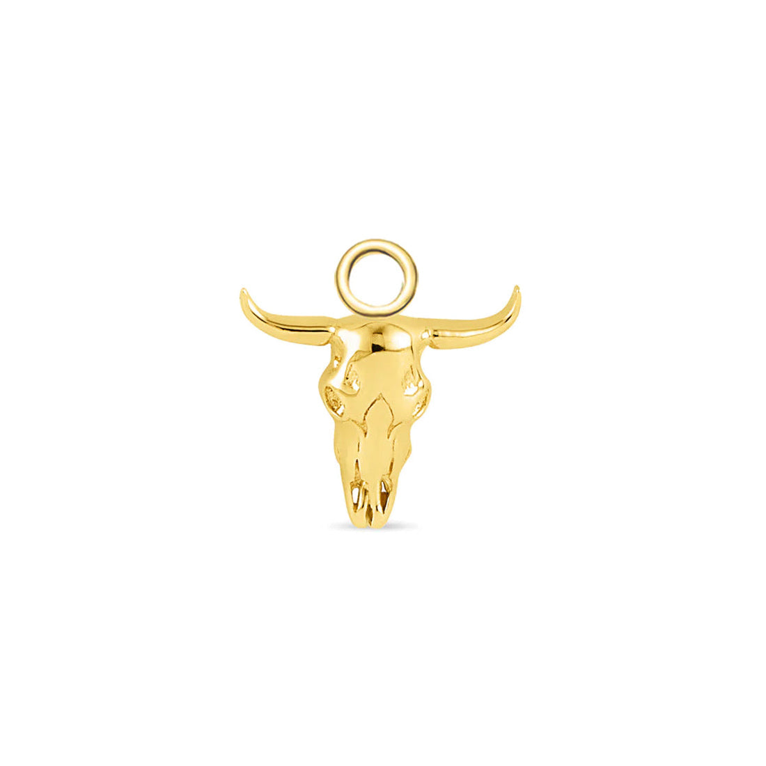 Buckaroo Skull Charm — NorVoch