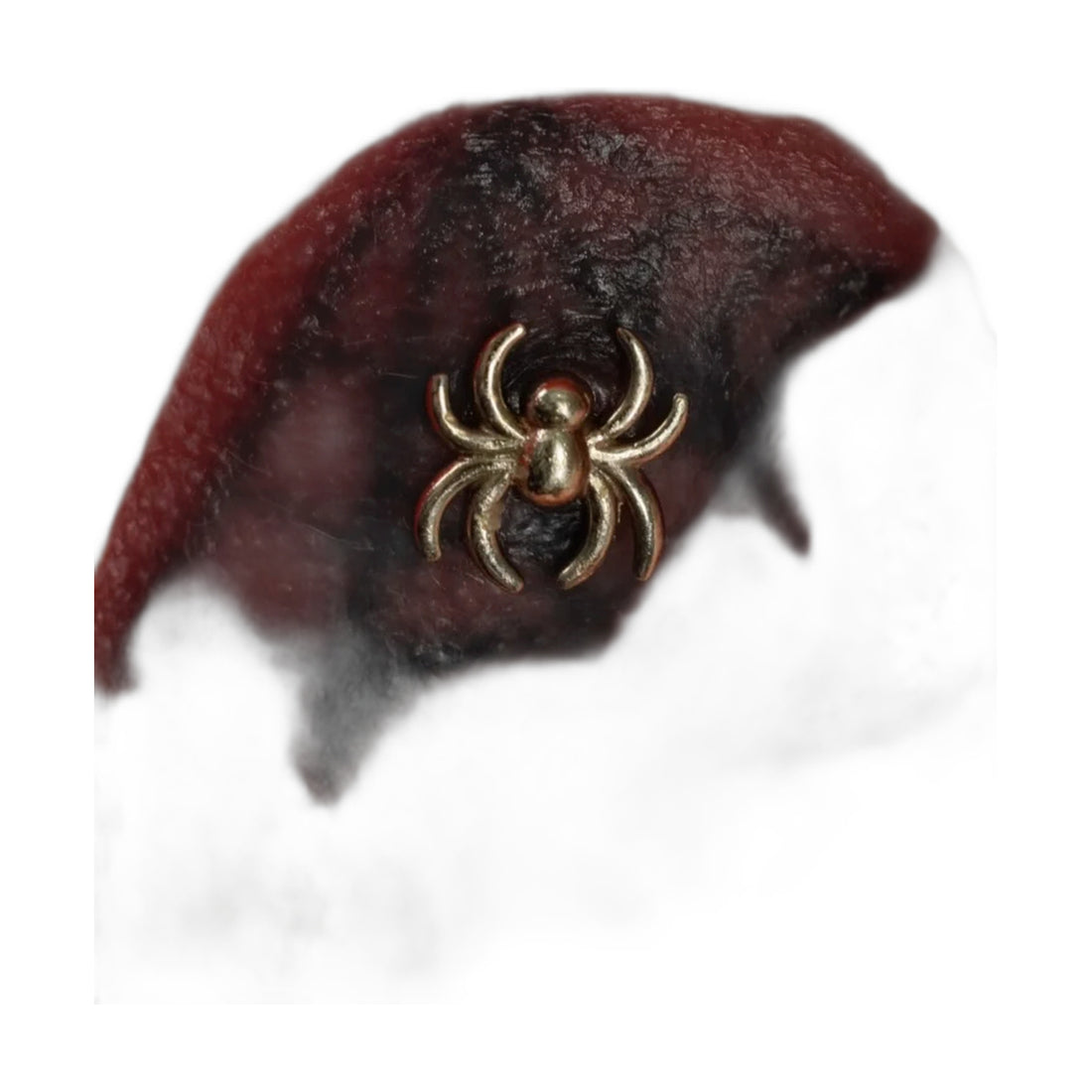 Spider by M.US.HROOM — alternate view 2