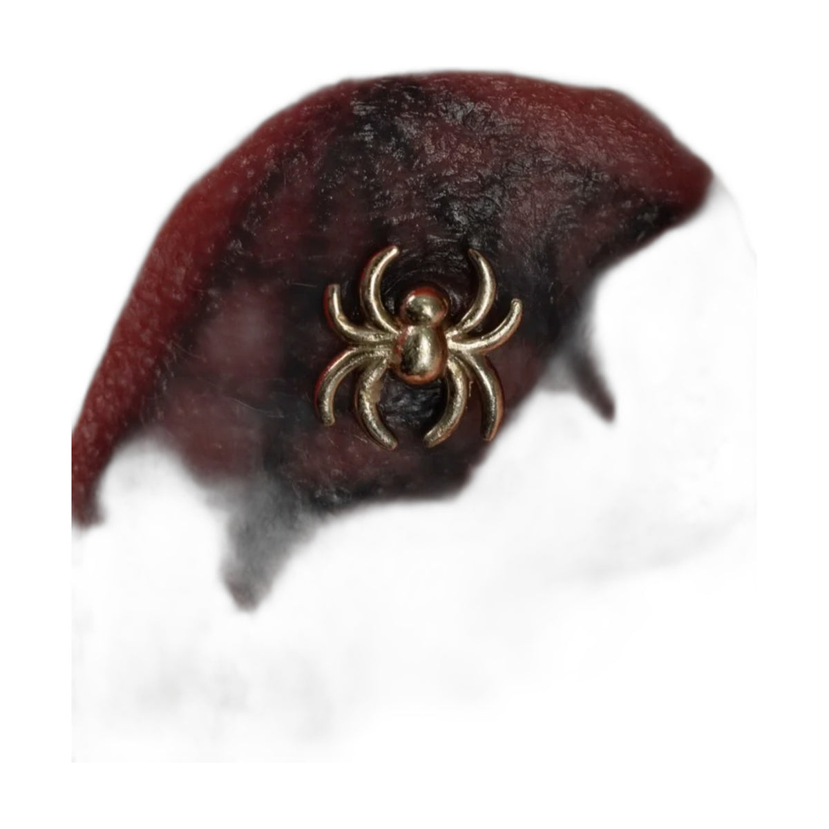 Spider by M.US.HROOM — alternate view 2