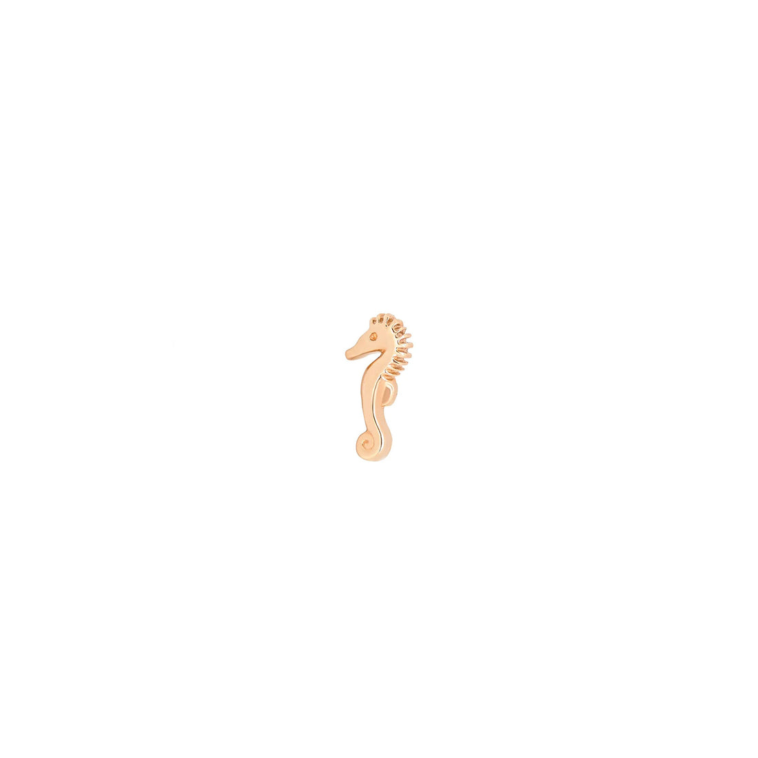 Seahorse by M.US.HROOM — alternate view 6