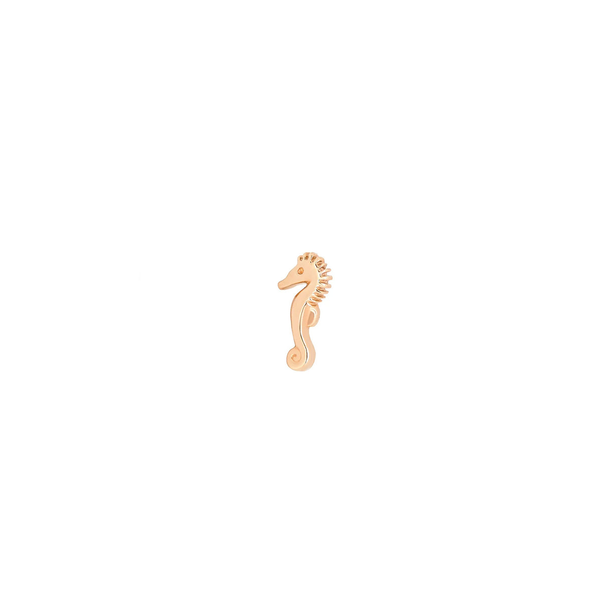 Seahorse by M.US.HROOM — alternate view 6