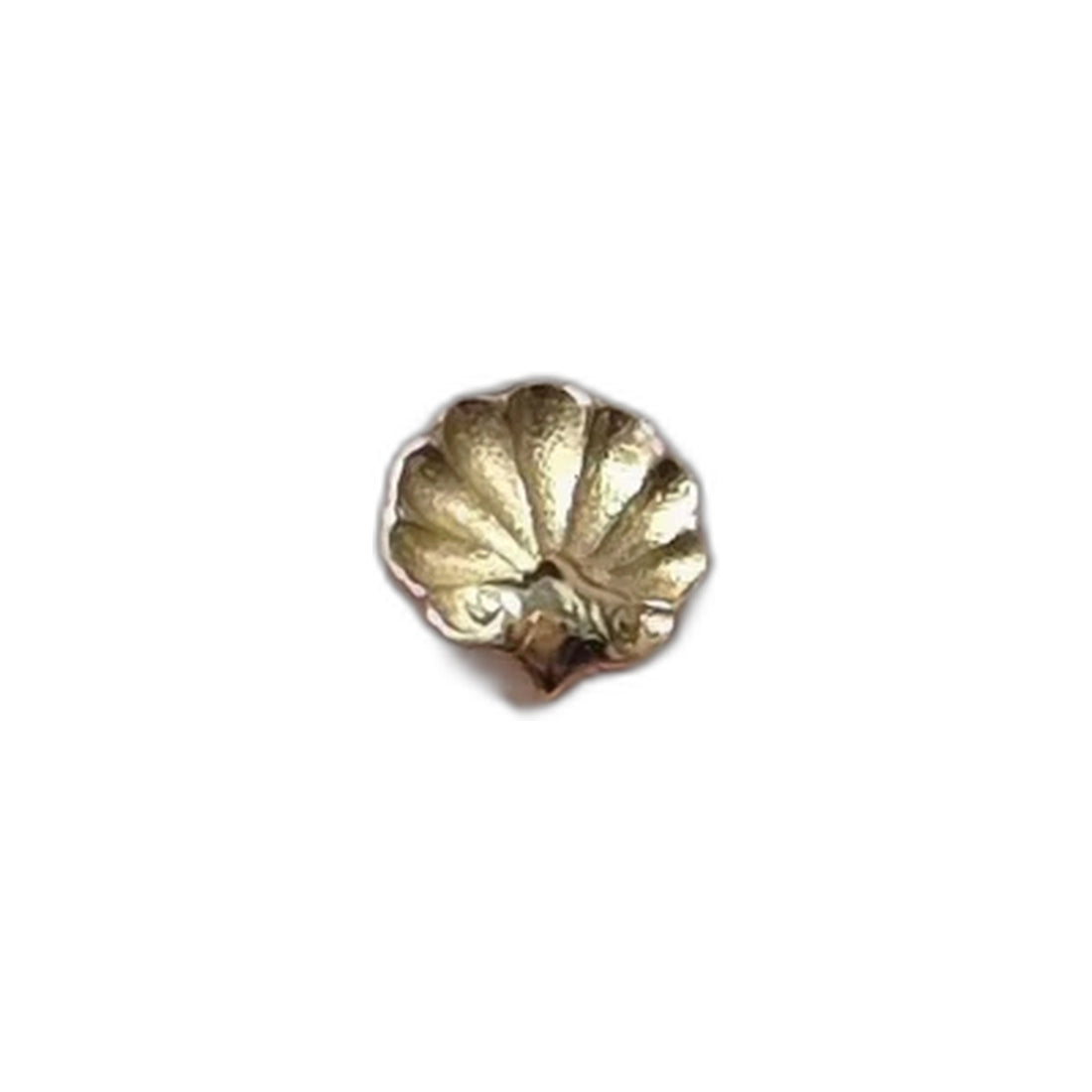 Shell by M.US.HROOM — alternate view 2