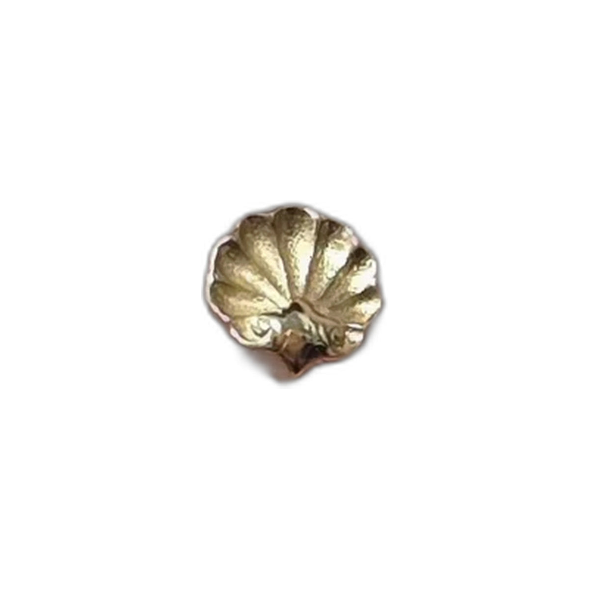 Shell by M.US.HROOM — alternate view 2