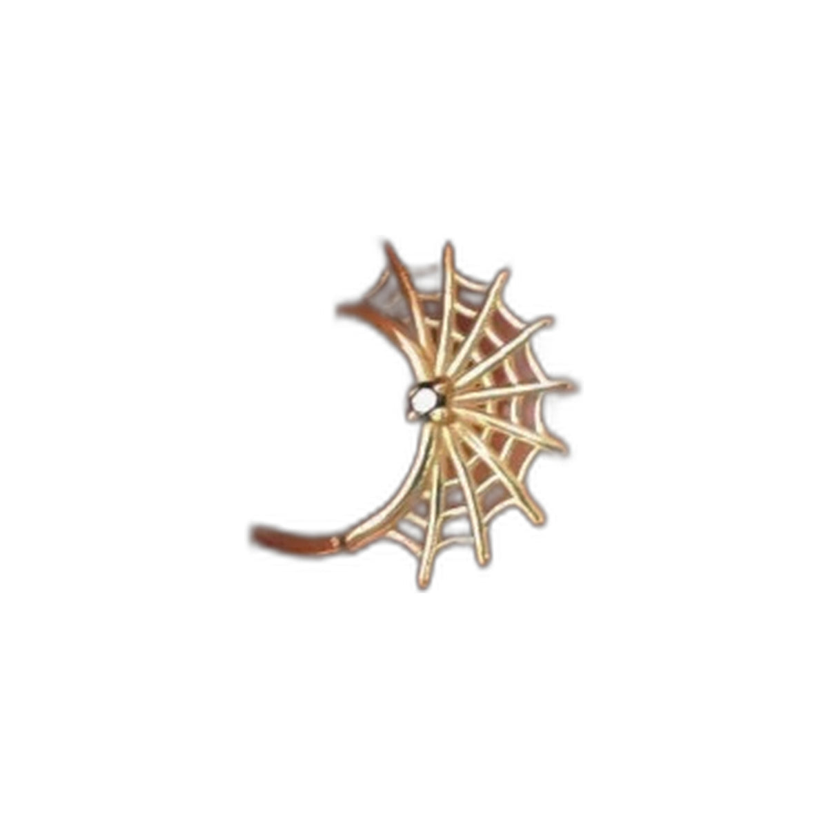 Web Ring by M.US.HROOM — alternate view 4