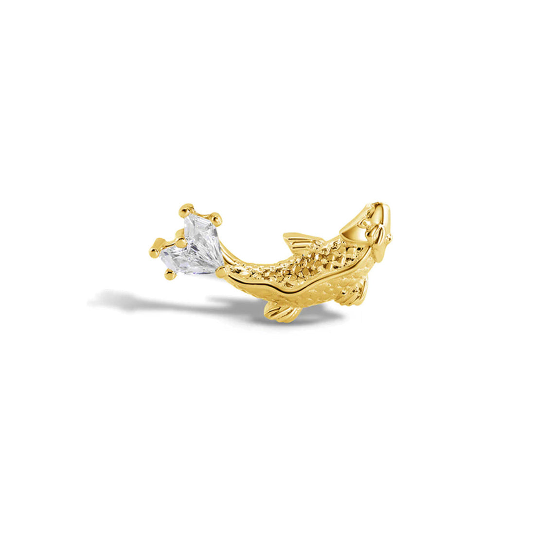 Koi — NorVoch