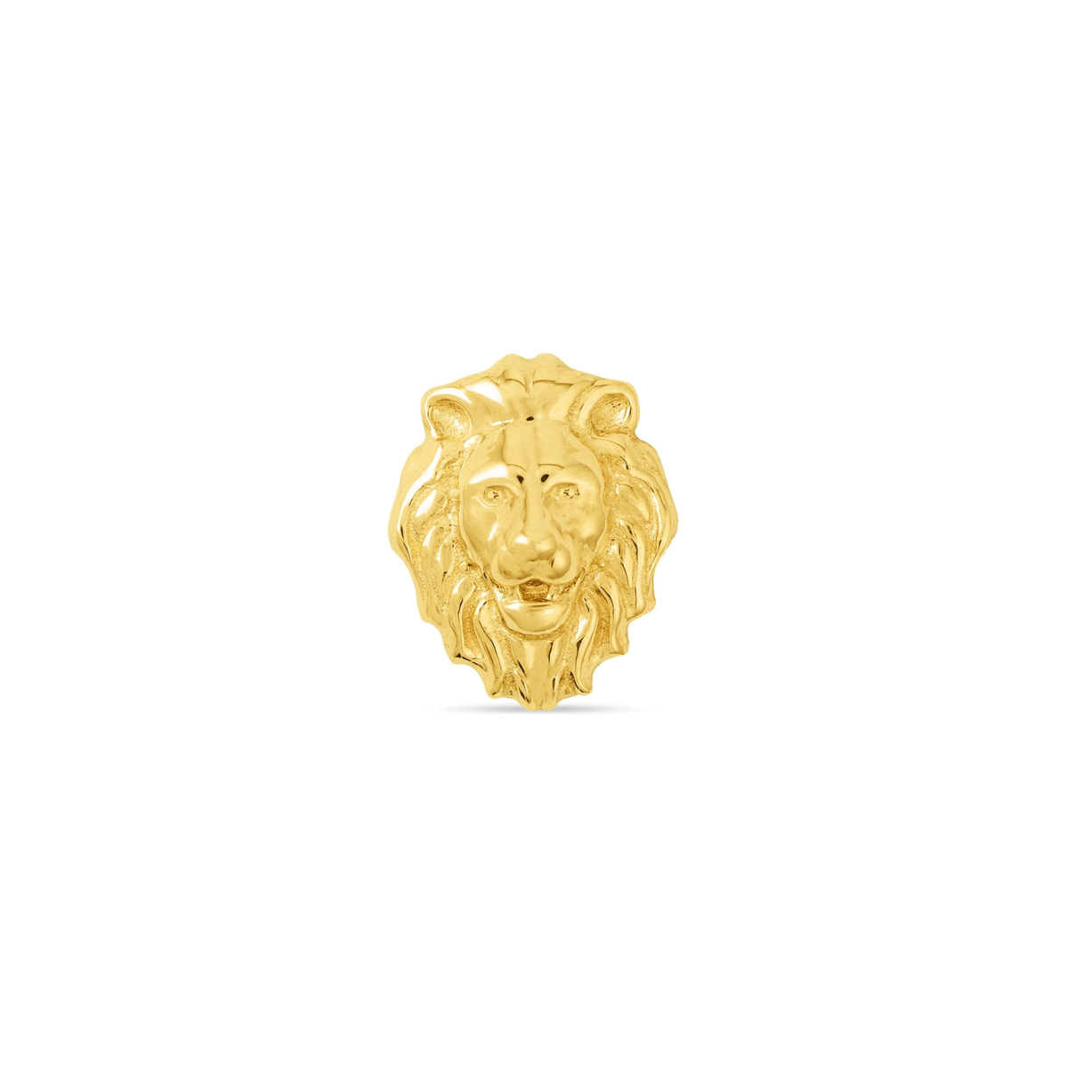 Lion — NorVoch