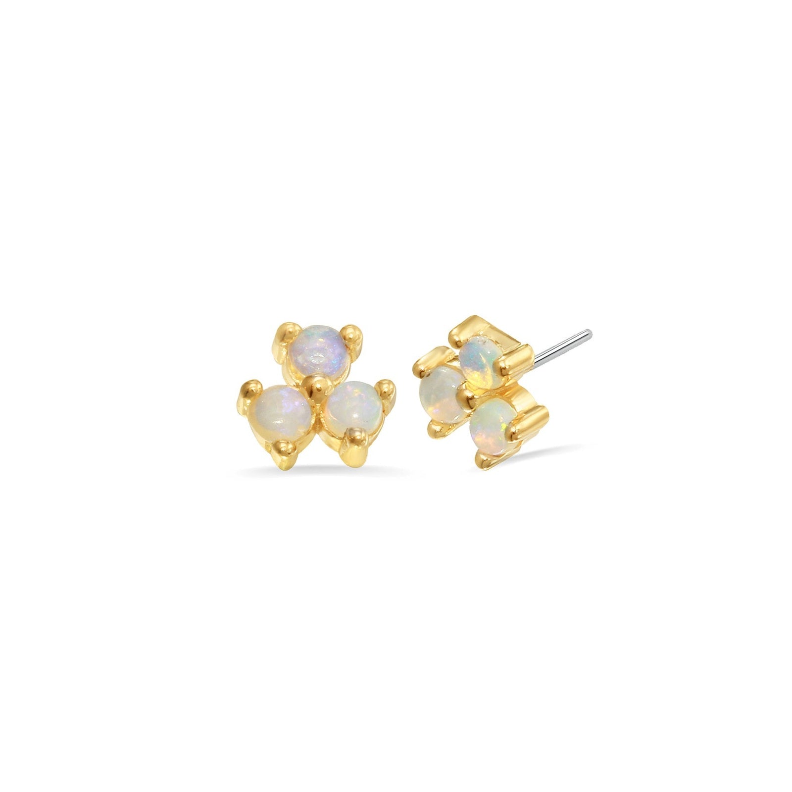 3 Cluster Double Prong — NorVoch