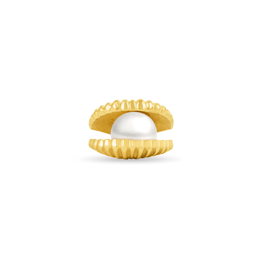Open Shell with Genuine Pearl — NorVoch