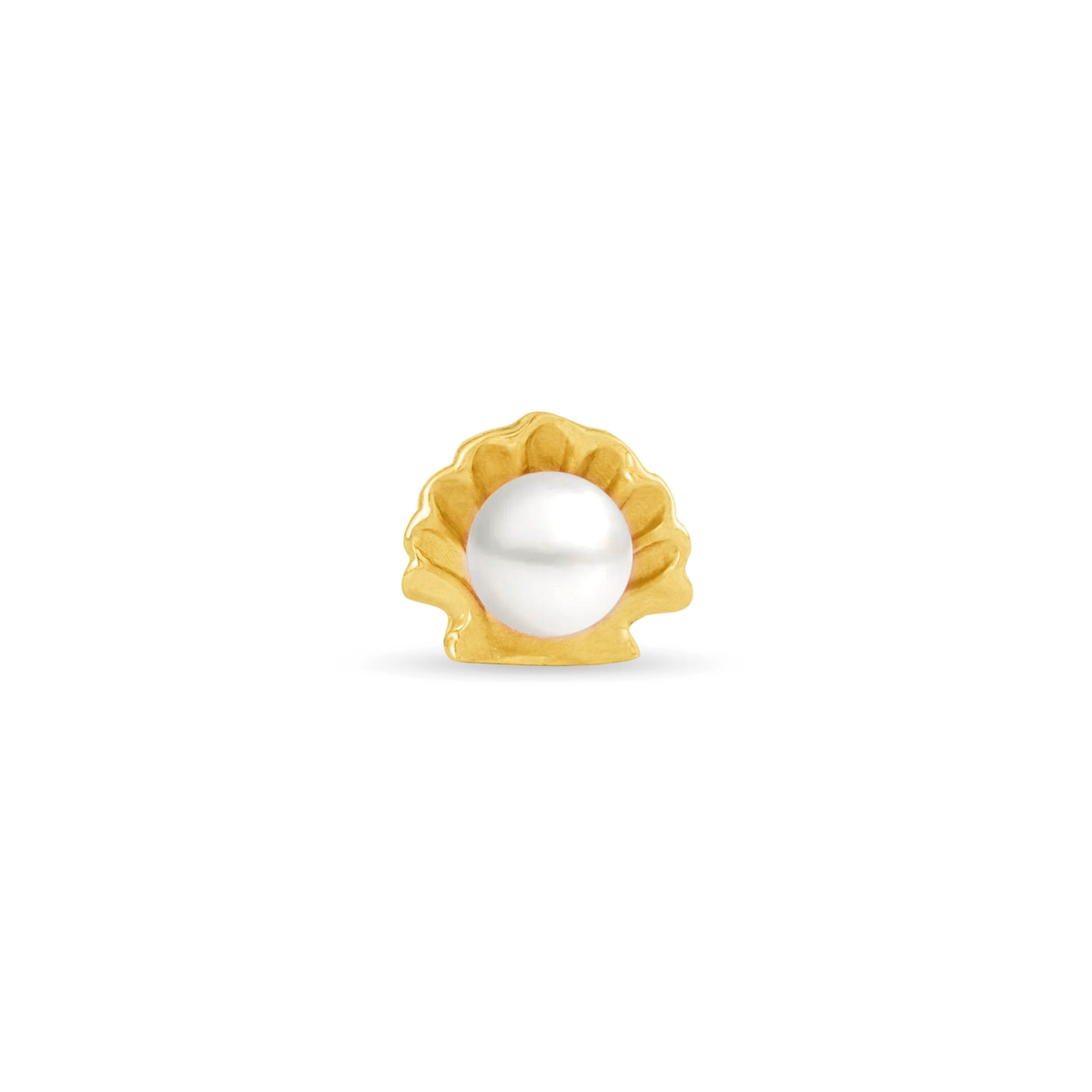 Oyster with Genuine Pearl — NorVoch