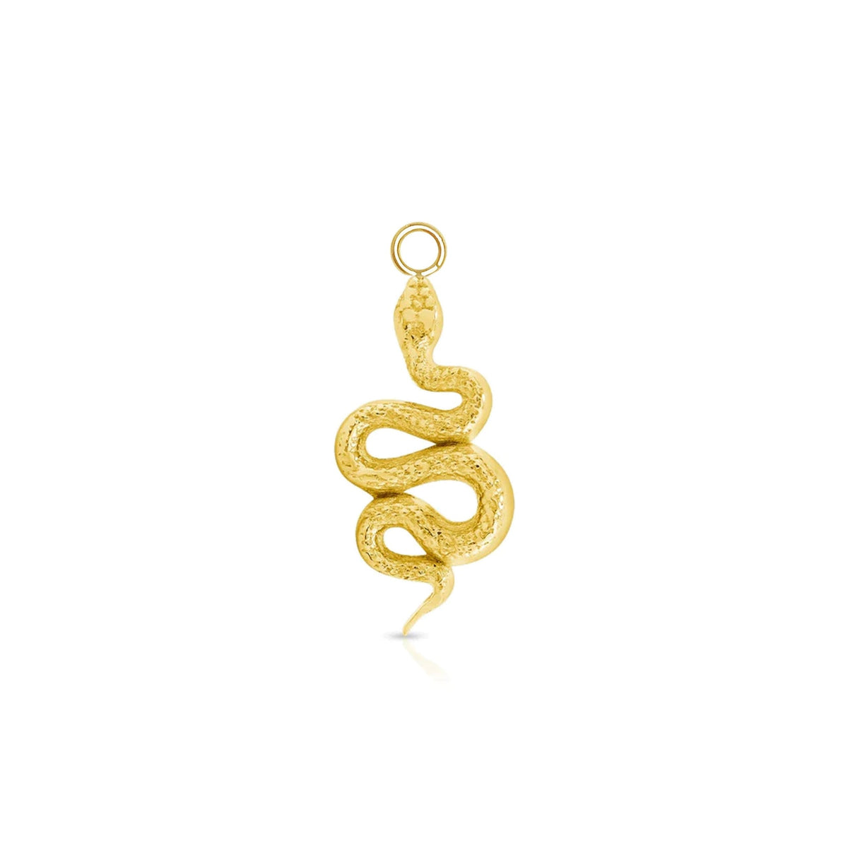 Rattlesnake Charm — NorVoch