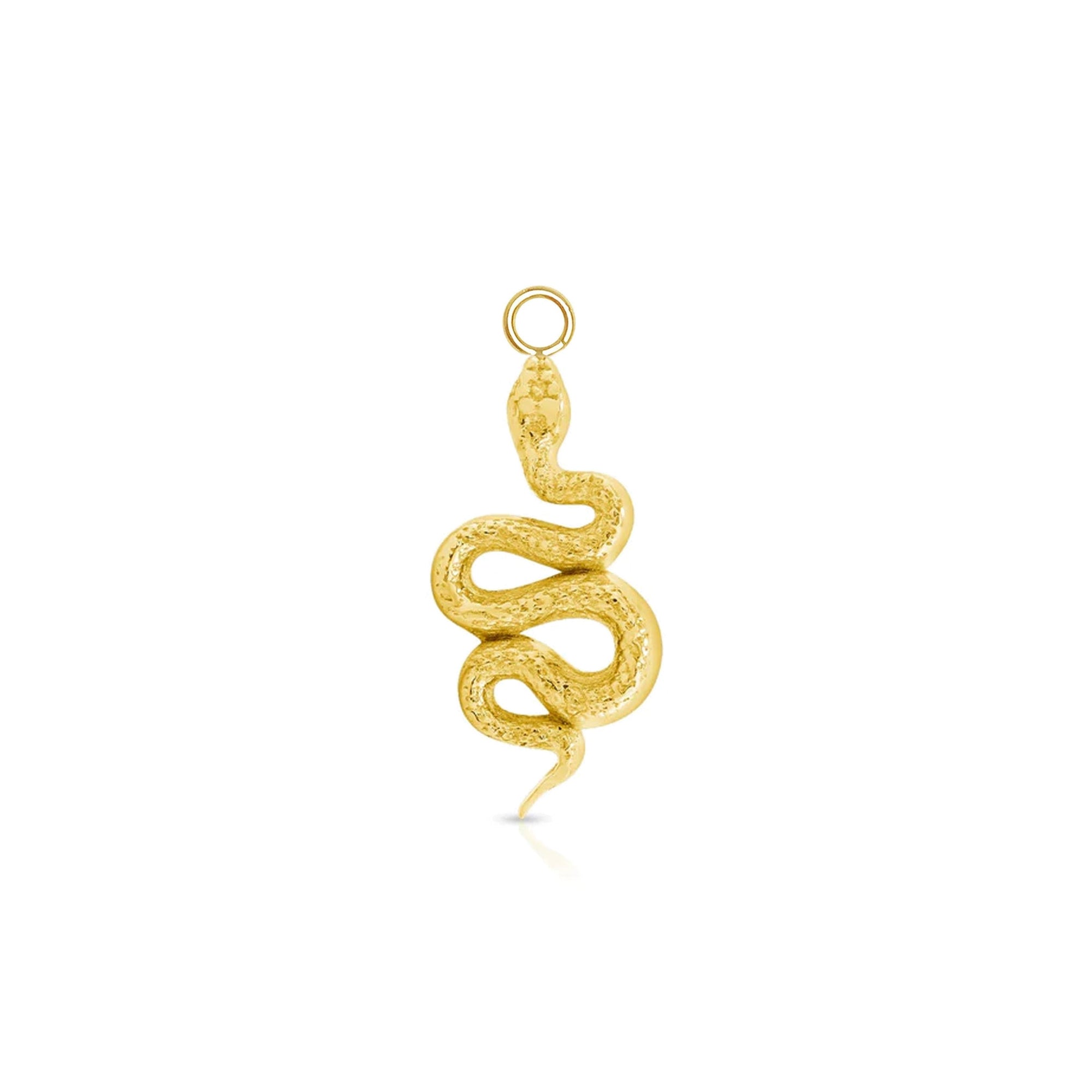 Rattlesnake Charm — NorVoch