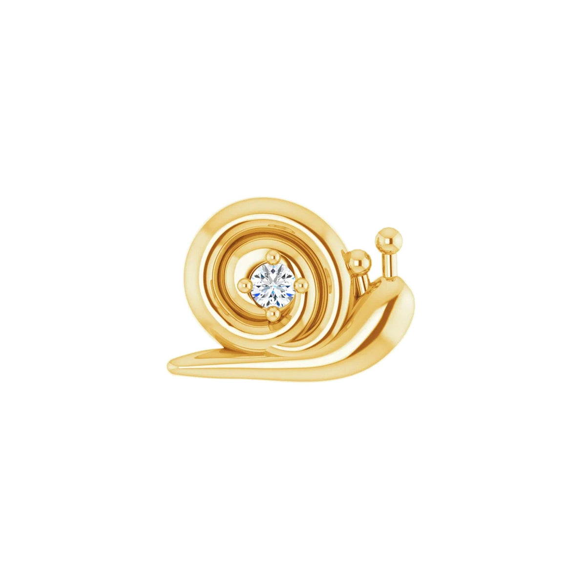 Snail — NorVoch