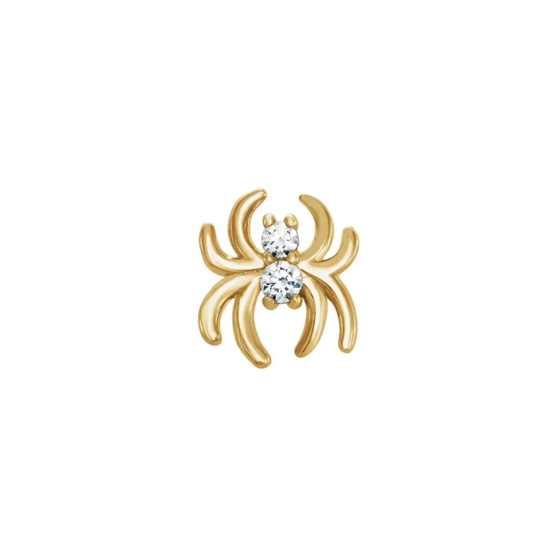 Spider with Gems — NorVoch