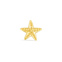 Starfish — NorVoch