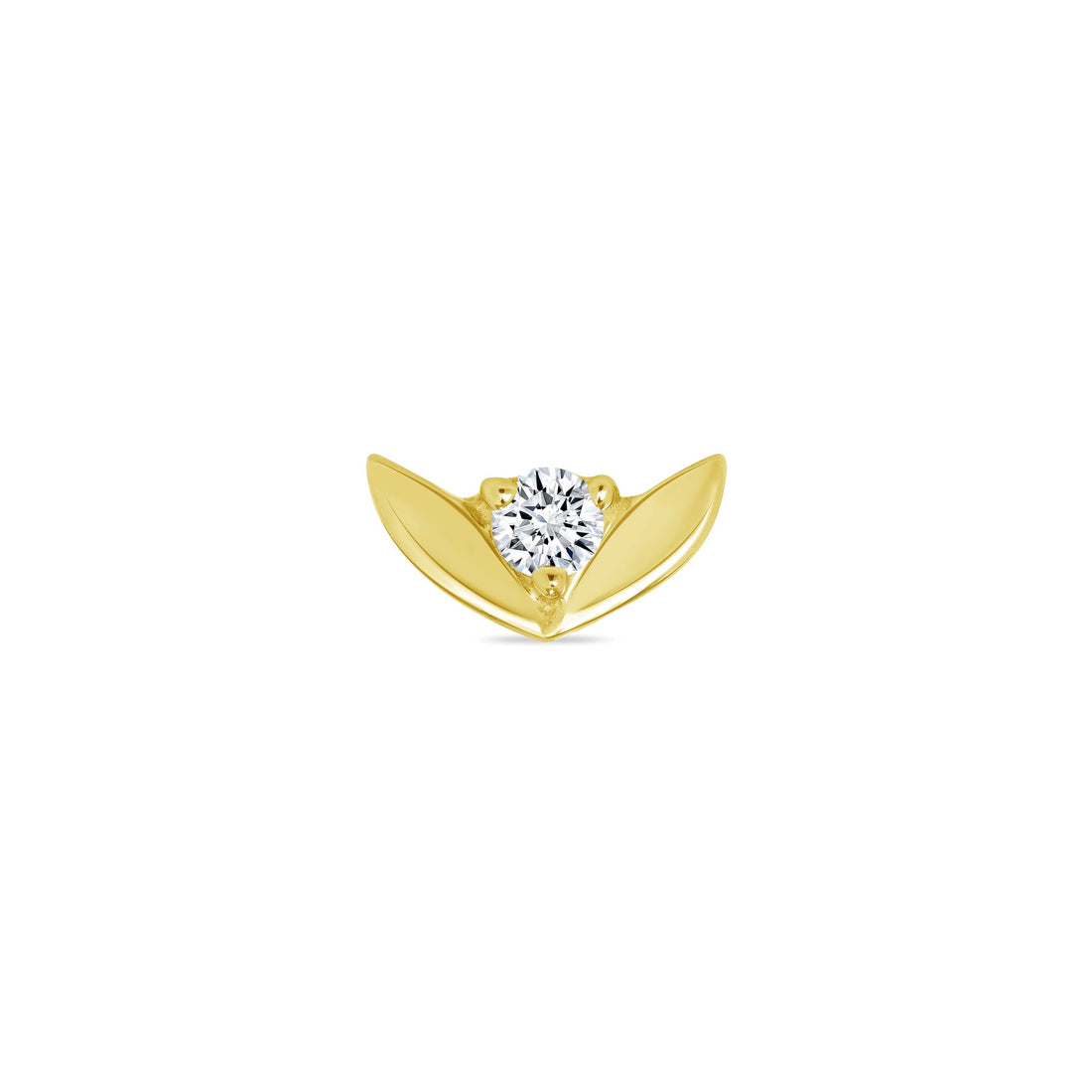 Tulip — NorVoch