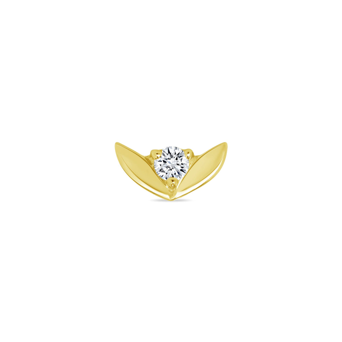 Tulip — NorVoch